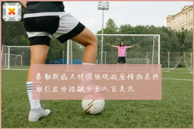 泰勒斯威夫特现场观战座椅拍卖热潮引发价格飙升至八百美元