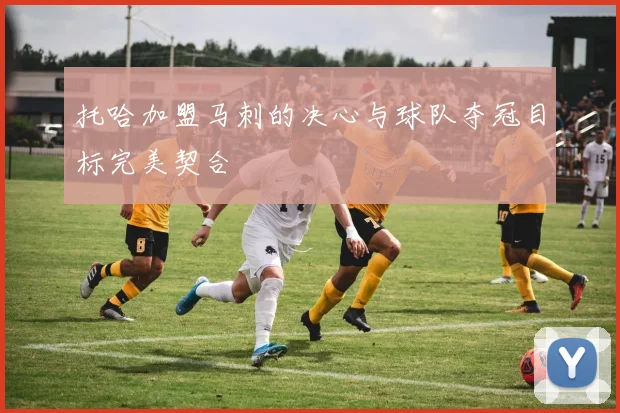 托哈加盟马刺的决心与球队夺冠目标完美契合